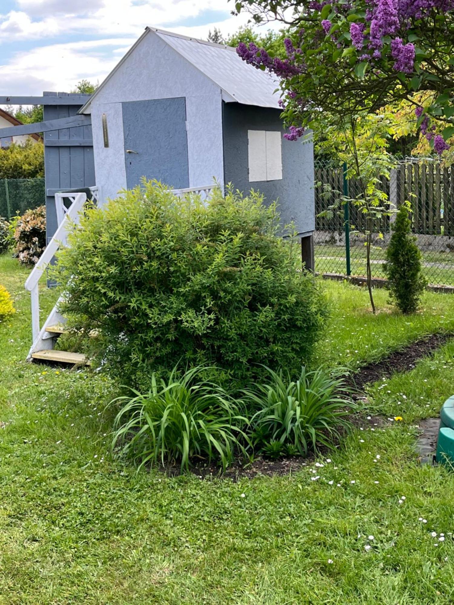 Apartament Leśny Szczejkowice Zewnętrze zdjęcie